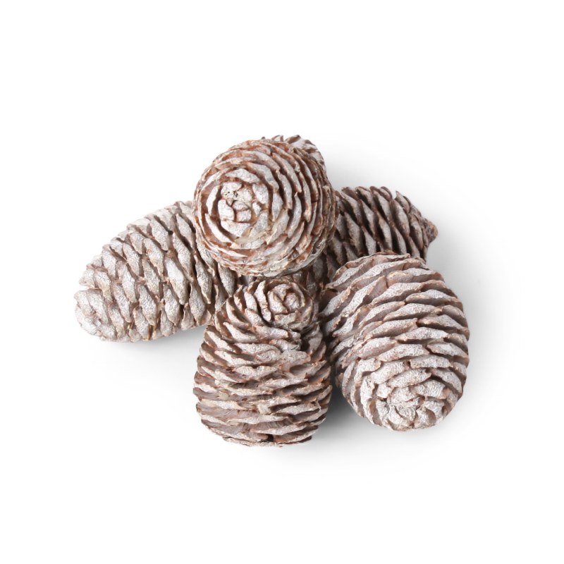 Picture of Muirii Cone 500g White wash